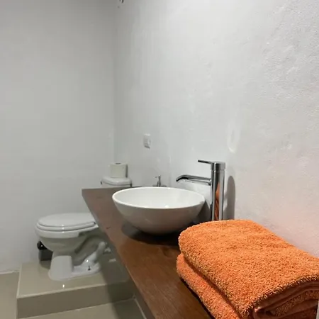 Corcovado House With Ac Apartment Puerto Jimenez Exterior photo